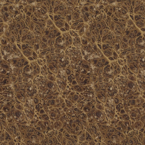 Free Spirit Fabrics Palette Neutral by Tim Holtz Eclectic Elements Neutral Marble Neutral