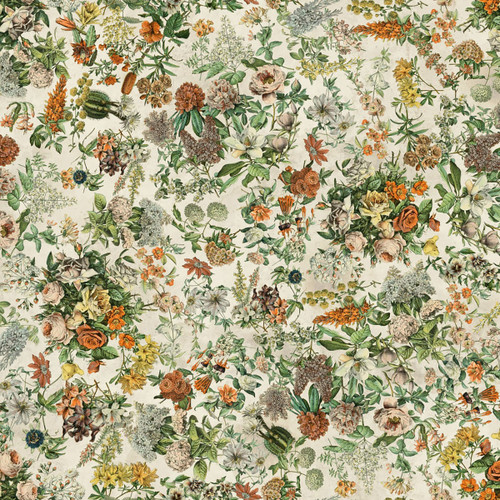 FreeSpirit Fabrics Palette 108 Inch Wide Quilt Back by Tim Holtz Botanical Palette