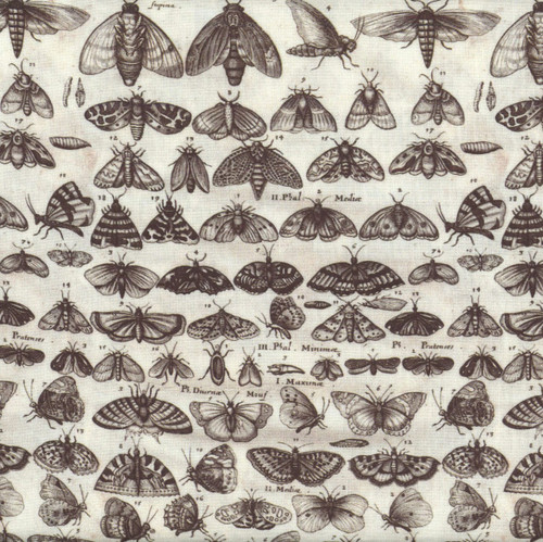 FreeSpirit Fabrics Charcoal Palette by Tim Holtz Eclectic Elements Charcoal Moths Charcoal