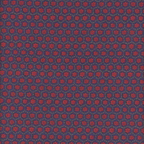 Windham Fabrics Duchess Williamsburg Navy Floral Mesh