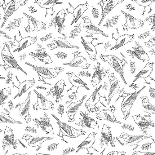 Quilting Treasures Fabrics Drawn To Birds Jane Maday White Bird Toile, black and white line drawing of various birds and leaves.