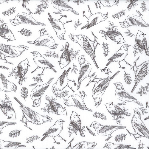 Quilting Treasures Fabrics Drawn To Birds Jane Maday White Bird Toile, black and white bird pattern fabric featuring detailed illustrations of various birds and small leafy branches.
