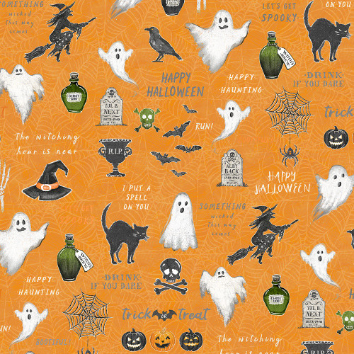 Wilmington Prints Midnight Hauntings Michael Davis Ghosts Witches Raven Cats Orange