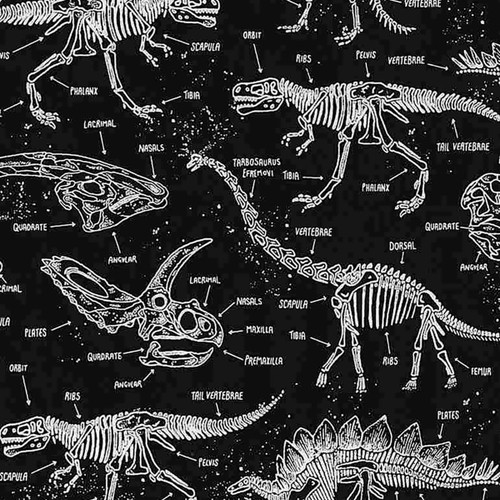 Timeless Treasures Fabrics Dino Trek Glow in the Dark Dinosaur Bones Anatomy