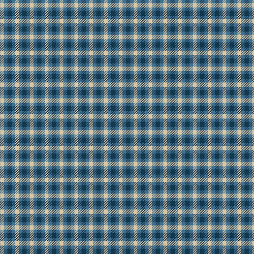 Riley Blake Fabrics Plaid-Venture Club Scout Blue