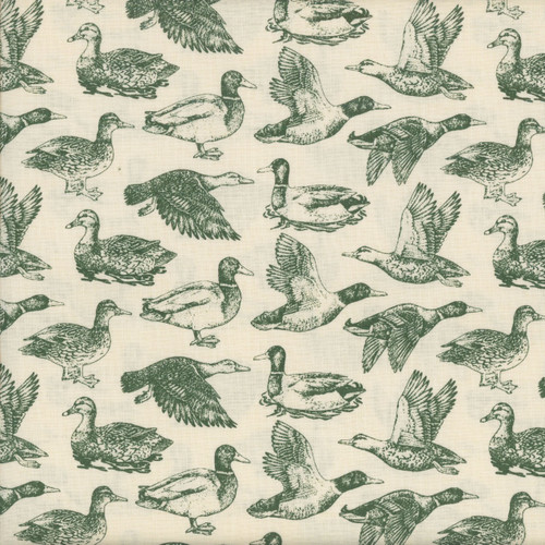 Riley Blake Fabrics Plaid-Venture Club Ducks Cream