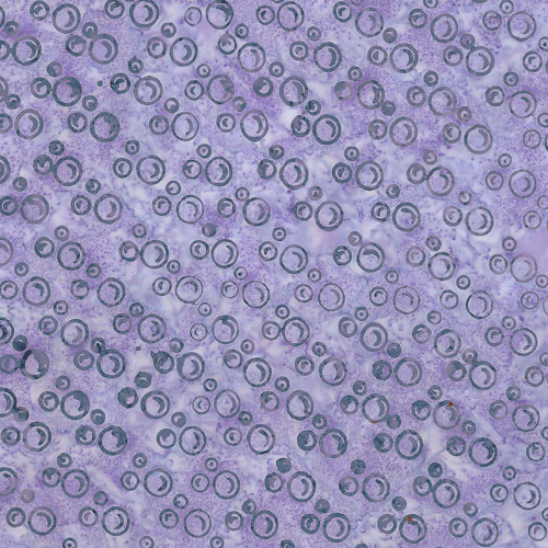 Riley Blake Fabrics Batiks Radiant Flourish Lavender Blue