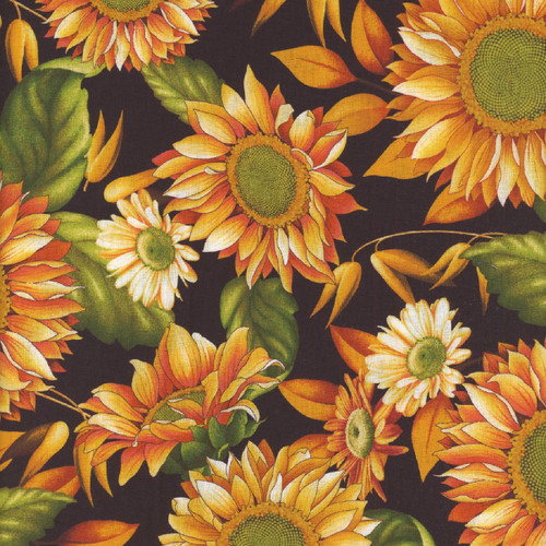Studio E Fabrics Autumn Fields Art Loft Yellow Gold Sunflowers on Black
