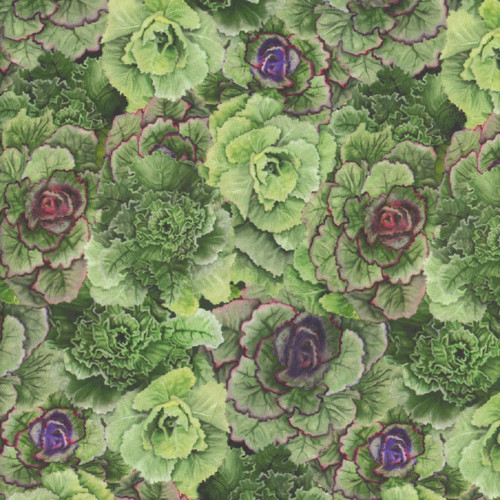 Clothworks Fabrics Cedar West Green Purple Bird Song Ornamental Cabbage, vibrant fabric featuring detailed illustrations of lush green and purple ornamental cabbages with pink accents.