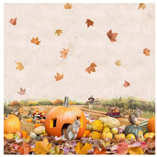 Clothworks Fabrics Cream Orange The Secret Life of Squirrels Double Border