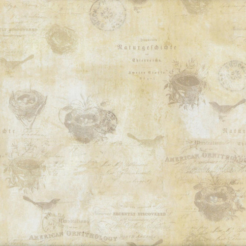 Clothworks Fabrics Harmony by Katie Pertiet Parchment Cream Birds Birdwatching, vintage-style fabric with cream background and faint bird and nest illustrations.