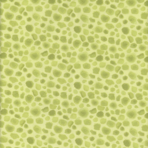 Windham Fabrics Whistler Studios King of the Jungle Flannel Soft Green First Spots