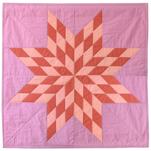 Windham Fabrics Ruby + Bee Solids Checkered Star Quilt Kit Starter Kit by Tara Faughnan