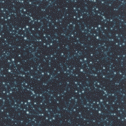 Benartex Fabrics Celestial Skies Skyline Studio Twighlight Blue In The Stars, a fabric with a starry night sky pattern featuring bright stars and galaxies on a deep blue background. Benartex Fabrics Celestial Skies Skyline Studio Twighlight Blue In The Stars, a fabric with a starry night sky pattern featuring bright stars and galaxies on a deep blue background.