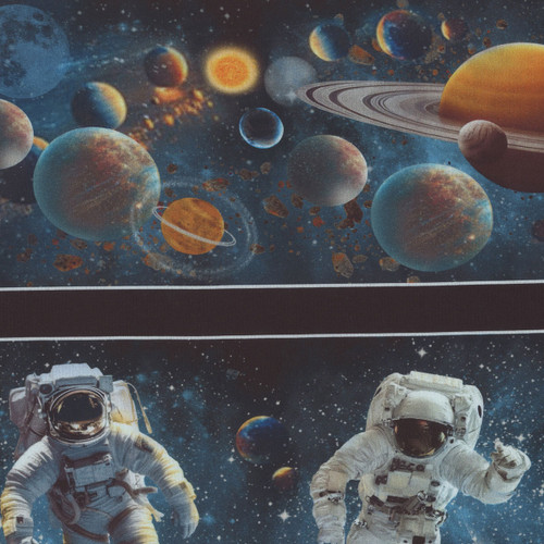 Blank Quilting Fabrics Space Cadet Francesco Moretti Black Border Stripe