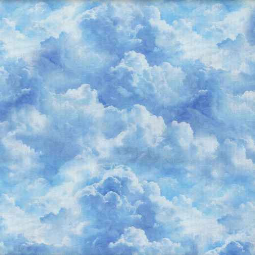 Quilting Treasures Dan Morris Earthly Delights 108 Inch Wide Quilt Backing Blue Sky