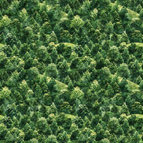 Quilting Treasures Dan Morris Earthly Delights Green Forest Hills