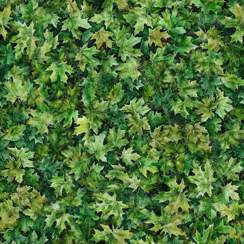 Quilting Treasures Dan Morris Earthly Delights Green Maple Leaves