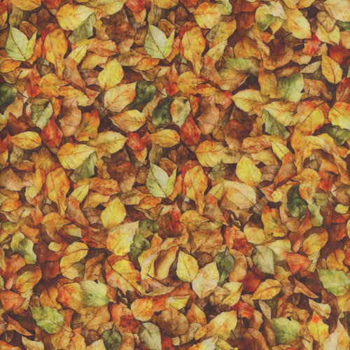 Quilting Treasures Dan Morris Earthly Delights Golden Yellow Elm Leaves