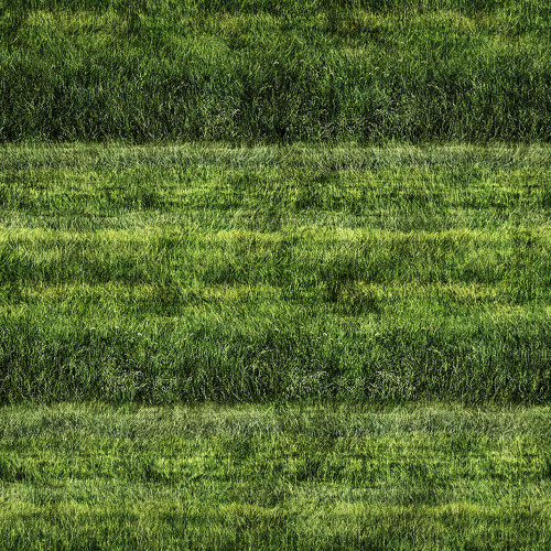 Quilting Treasures Dan Morris Earthly Delights Green Grassy Fields
