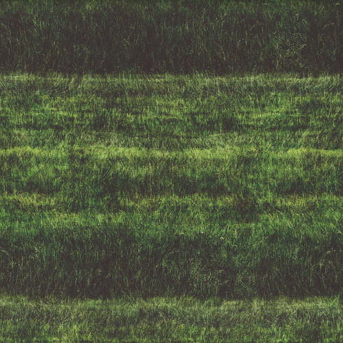Quilting Treasures Dan Morris Earthly Delights Green Grassy Fields
