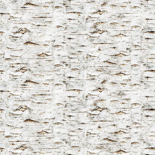 Quilting Treasures Dan Morris Earthly Delights Cream Brown Birch Bark fabric, detailed view of a tree bark pattern with earthy cream and brown tones.