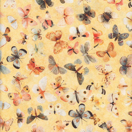 Quilting Treasures Fabrics Hedgehugs Dan Morris Peach Orange Grey Butterflies