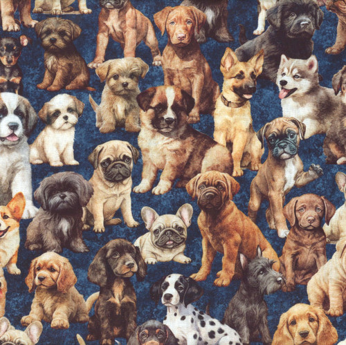 Quilting Treasures Fabrics QT Cuties 2 Dan Morris Red Pack of Puppies