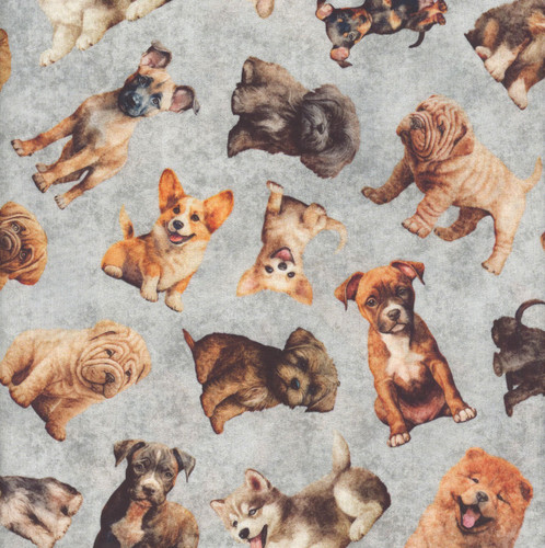 Quilting Treasures Fabrics QT Cuties 2 Dan Morris Grey Tossed Puppies