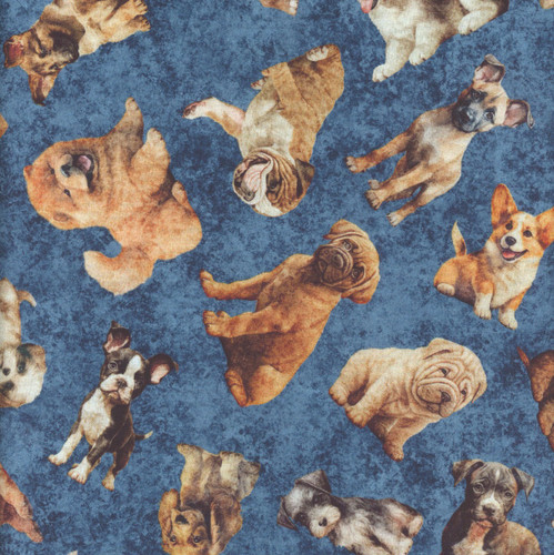 Quilting Treasures Fabrics QT Cuties 2 Dan Morris Blue Tossed Puppies