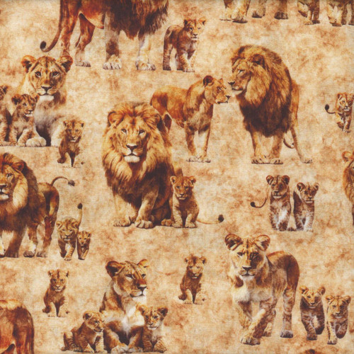 Quilting Treasures Fabrics Roar of the Pride Dan Morris Cream Lion Family Allover, fabric with detailed illustrations of lions and lion cubs in a natural setting.