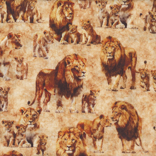 Quilting Treasures Fabrics Roar of the Pride Dan Morris Cream Lion Family Allover