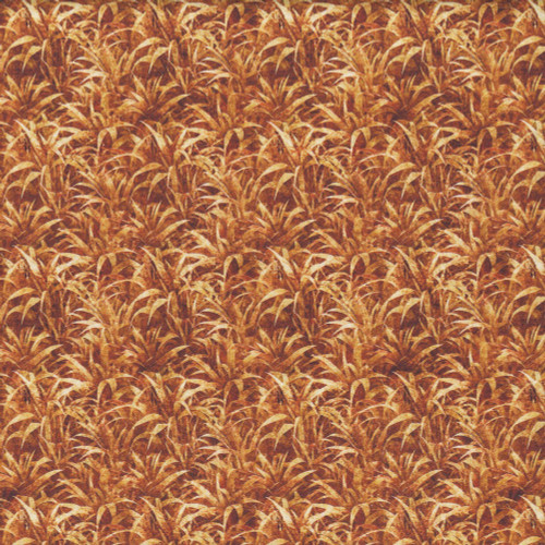 Quilting Treasures Fabrics Earthly Delights Dan Morris Cinnamon Brown Gold Tall Grasses