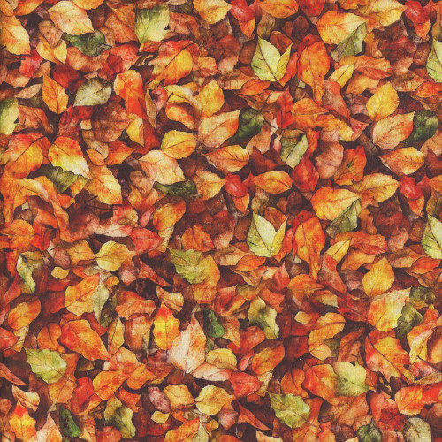 Quilting Treasures Fabrics Earthly Delights Dan Morris Orange Brown Elm Leaves