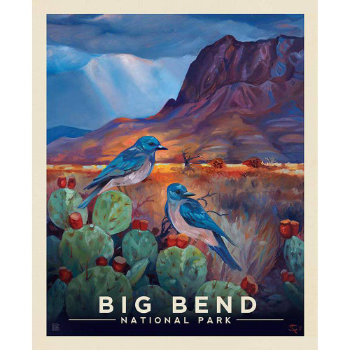 Riley Blake Fabrics National Parks Fabrics Big Bend Poster Panel 36