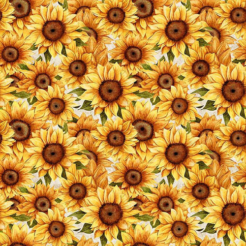 Quilting Treasures Sunflower Serenade Dan Morris White Yellow Packed Sunflowers, fabric pattern showing vibrant yellow sunflowers with green leaves on a white background.