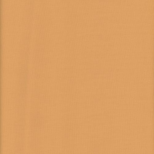 Riley Blake Fabrics Confetti Cotton Solids Daisy