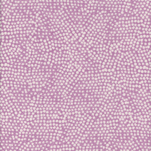 FreeSpirit Fabrics Flourish & Bloom by Helen Prior Seeds Pansy