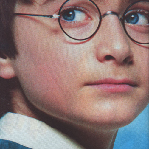 Benartex Harry Potter Blue Black Gold Harry Potter Panel