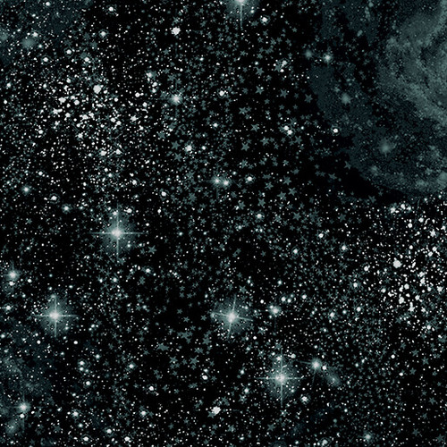 Benartex Harry Potter Black Charcoal Magical Basic Stars