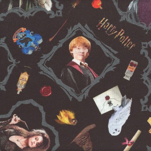 Benartex Harry Potter Harry Potter Characters Ron Dumbledore Snape 108 Inch Wide Quilt Back
