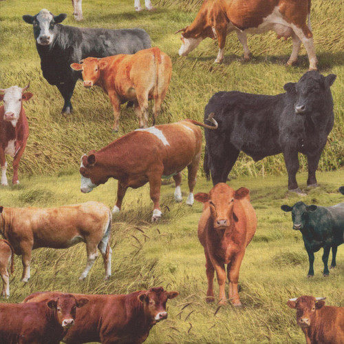 Timeless Treasures Fabrics Home On The Range Green Cattle Farm