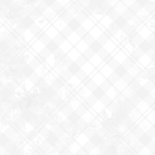 Wilmington Prints Fabrics Dry Brush Plaid Danhui Nai Plaid White on White