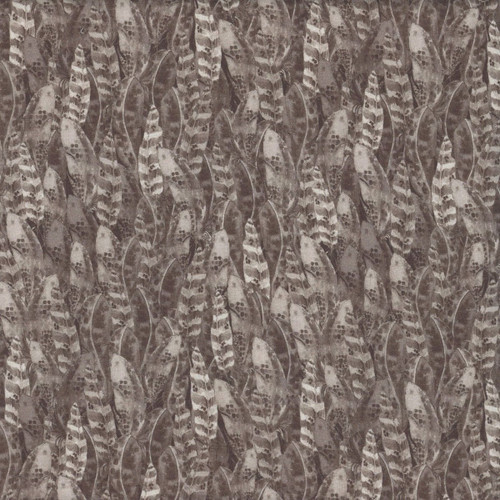 Clothworks Fabrics Night Whispers Grey Owl Feathers