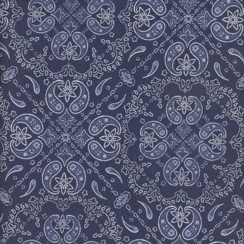 Wilmington Prints Fabrics Riders On The Range Danhui Nai Paisley Blue, fabric with a detailed paisley pattern in shades of blue and white.