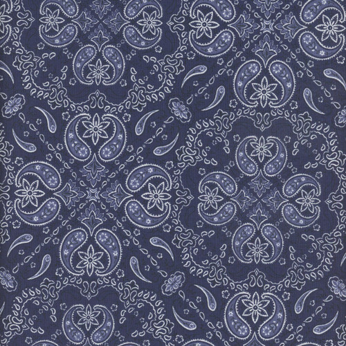 Wilmington Prints Fabrics Riders On The Range Danhui Nai Paisley Blue