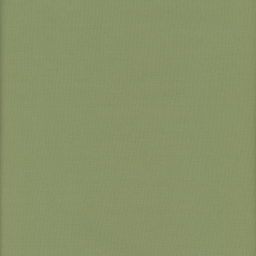 Benartex Fabrics Superior Solids Benartex Studio Superior Solids Evergreen Green