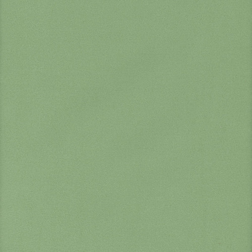 Benartex Fabrics Comfort Flannel Solids Sprout Green