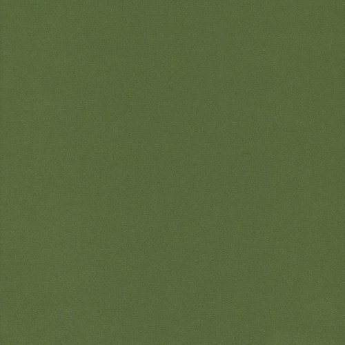 Benartex Fabrics Comfort Flannel Solids Leaf Green