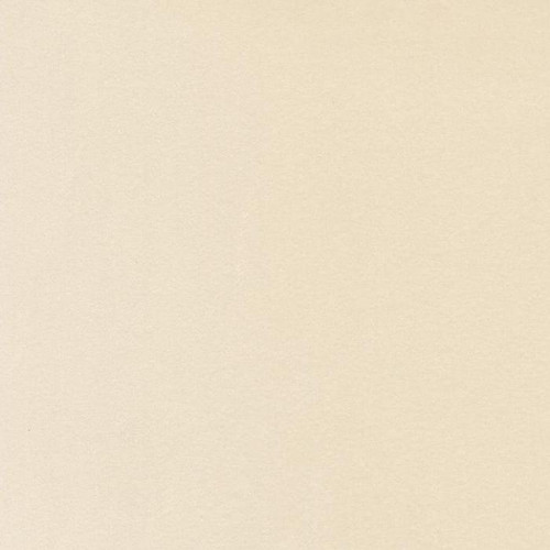 Moda Fabrics Shannon Fabrics Quilting Cuddle Solid Ivory Natural Cream, plain beige fabric with a soft texture.